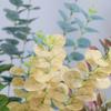 Impresión 3D Eucalipto Lujo Accesible Estilo Hoja de Dinero Flor para el Hogar Adornos de Interior Decoración de Mesa para Sala de Estar Flor Artificial Venta al por Mayor