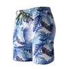 Calções de Praia Masculinos de Cinco Pontos Estilo Calção de Banho, Calções de Banho Masculinos Que Podem Entrar na Água, Estilo Solto, Águas Termais, Beira-Mar, Pequenas Quantidades, Atacado em Estoque