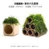 Aquário Musgo Terrário Planta Aquática Paisagismo Planta Real Tanque de Esconderijo para Peixes e Camarões Casa de Camarão Pequeno Ornamento Casa de Esconderijo para Criação de Peixes Pequenos