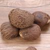 Semilla de Bodhi de Fruta Marfil al por Mayor Semilla de Bodhi de Fruta Marfil al por Mayor SECA Artificial Tallada Semilla de Bodhi Materia Prima Grande Mediana Pequeña