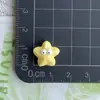 Mini Baleia Pequena Golfinho Caranguejo Vida Marinha Resina Acessórios Grampo de Cabelo Chaveiro Caixa de Armazenamento para Papelaria Decoração