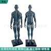 Modelo de cráneo de referencia para pintura de 30 cm color músculo Arte anatomía estructura hueso músculo humano Arte boceto