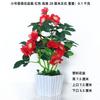 Flores Falsas, Flores Artificiales, Flores para Decoración de Sala de Estar, Flores de Seda, Flores de Plástico, Plantas Artificiales en Maceta, Adornos Bonsái, Macetas de Flores Falsas