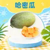 Distribución al por mayor de melón Cantalupo de Hainan 4-5/6-7/ 4-4.5kg Melón Honeydew de Xizhou Fruta Fresca Jugosa Crujiente Dulce