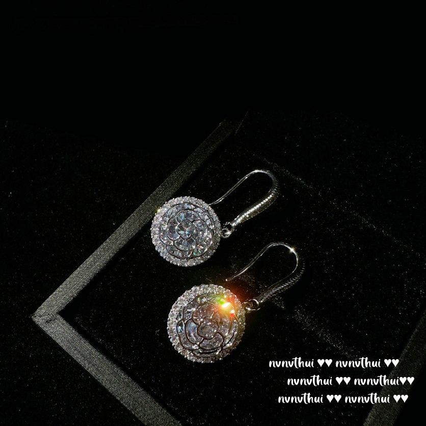 IMG_4307(20231210-113250)