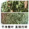 Hojas de Chile Secas, Hojas de Chile Dahongpao de Shanxi, Hojas de Chile Frescas Comestibles Trituradas, Libres de Impurezas, para Panqueques, Panqueques Fritos y Productos Horneados