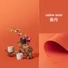 Papel de Fundo Fotográfico Refletivo de Cor Sólida Tradicional Adereços Fotográficos para Joias Cartão de Papel para Fotografia de Produtos Coloridos Fruta Vermelha Pequena