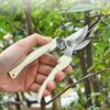 Tijeras de podar con hojas curvas y rectas, Herramientas manuales de jardinería, Tijeras de podar flores, Tijeras para recolectar frutas, Tijeras multifuncionales de resorte Yangjiang