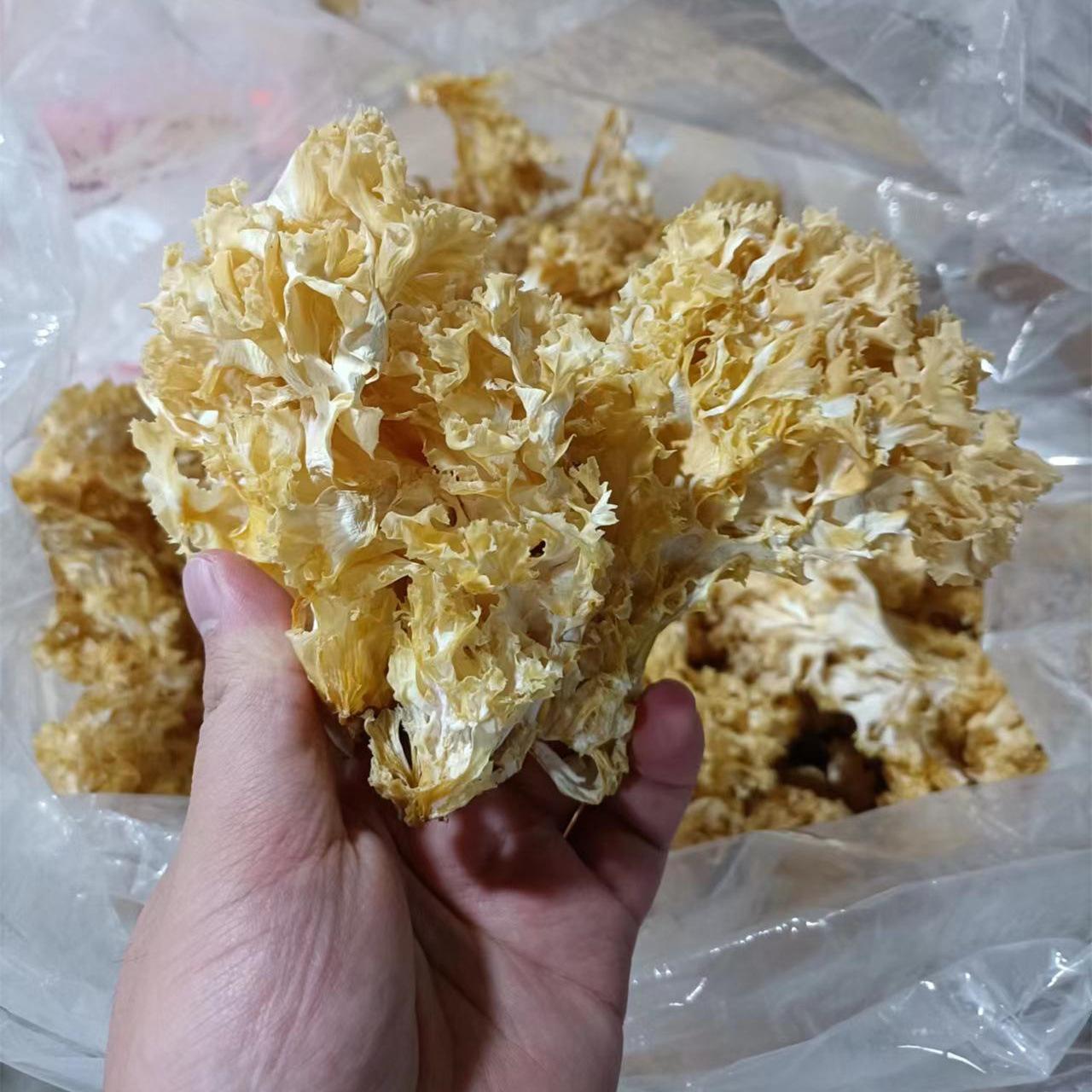 微信图片_20230529151027