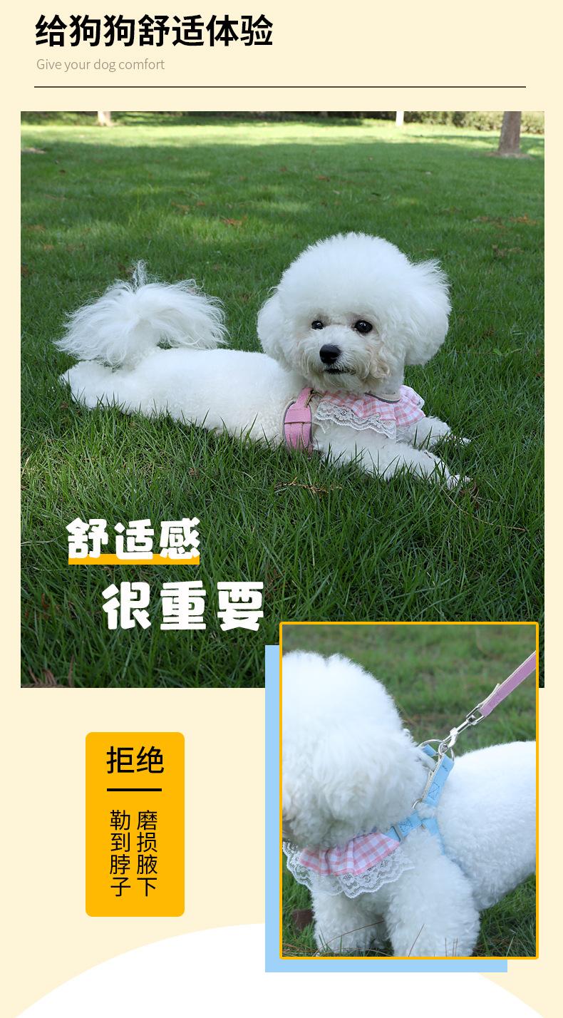 狗_06.jpg