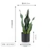 Venta al por mayor de fábrica planta en maceta de tigre Piran para interiores plantas verdes de simulación adornos decorativos simples estilo nórdico para el hogar y la oficina con maceta