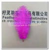 Venta directa de fábrica 20-25 cm pelo de avestruz DIY accesorios para decoración de ropa de actuación tocados color completo