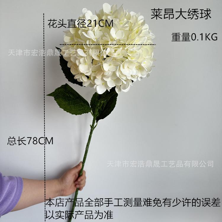 f72b48c7535cd35ec26984b345cda5