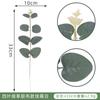 Planta de simulación Yaoyuan flor de eucalipto individual accesorios de arte material de microcombinación flor de simulación chestriana