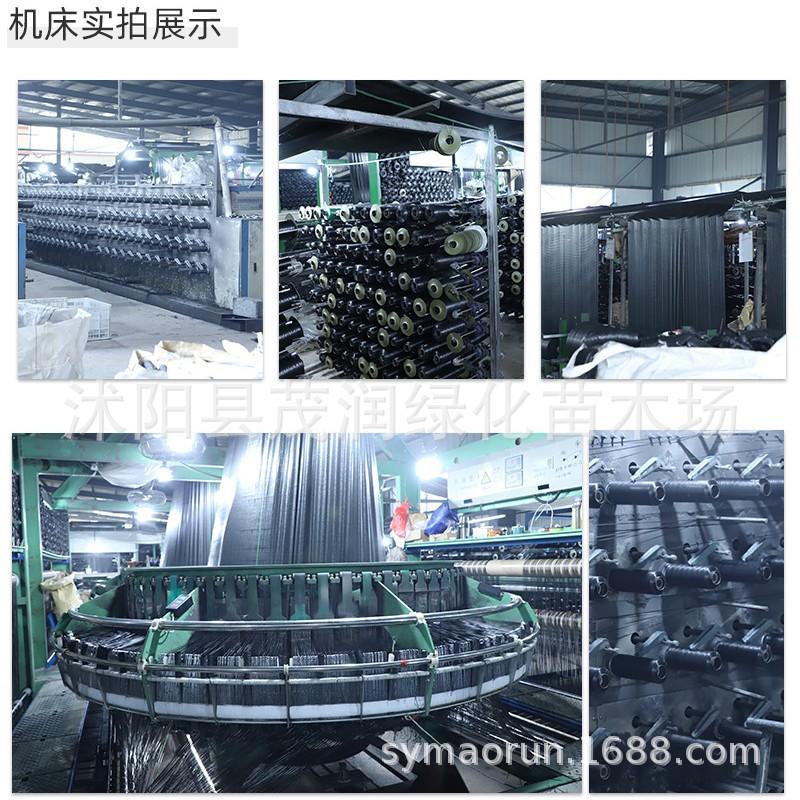 防草布09