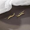 Aretes de Plata Esterlina 925 Aerodinámicos Diseño Nicho para Mujer Aretes de Otoño Moda Femenina Elegantes Nuevos Aretes de Plata
