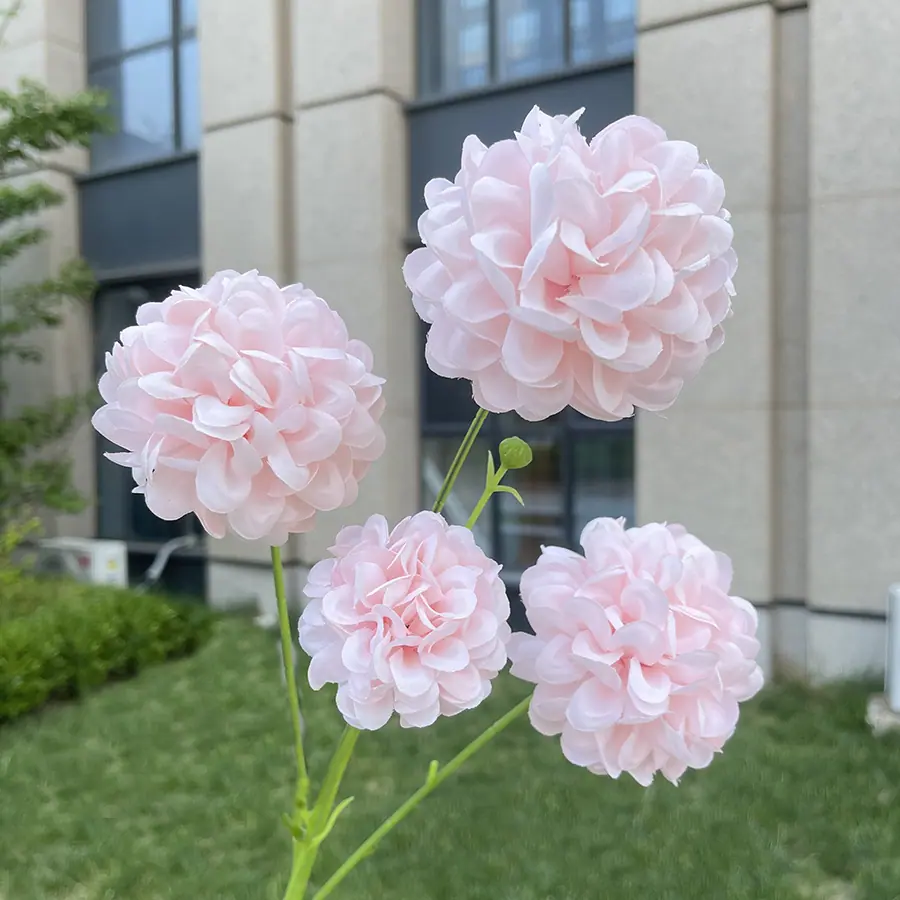 4头高枝芙蓉球-wxzjgx-粉色.JPG