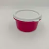 Cajas de Almacenamiento Selladas Engrosadas de Grado Alimenticio Mini para Comida de Mascotas, Cebo de Pesca, Anzuelos, Medicamentos y Joyería