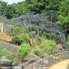 Red de cuerda de acero inoxidable 304 para cien pájaros, red de jardín, red de protección para zoológicos, red forestal para aves, red anticaída para escuelas de escalada de plantas.