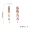 Pendientes de Borla de Diamante Estilo Francés Aguja de Plata Suave Lujo Ligero Pendientes de Gama Alta Pendientes Elegantes de Moda para Mujer Temperamento Pendientes Venta al por Mayor