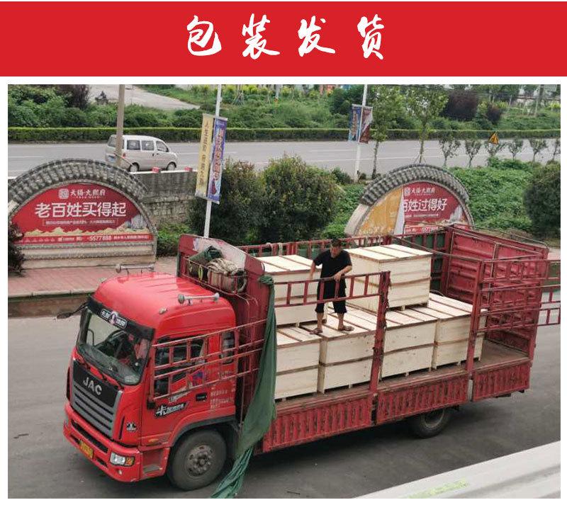 直线筛详情