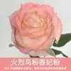 Tinta Spray para Flores, Corante Azul Gelo Triturado Ameixa, Flor de Sabão, Flor Seca, Spray de Arte Floral, Suprimentos para Floricultura Atacado