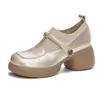 Zapatos Mary Jane populares de estilo francés para mujer, nuevo modelo otoño 2026, tacón grueso, zapatos pequeños de cuero con suela gruesa, zapatos de vestir versátiles para mujer
