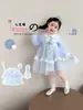 Vestido de Niña Aisha Primavera y Otoño 2026 Nuevo de Moda Vestido de Princesa Infantil Malla para el Primer Cumpleaños del Bebé