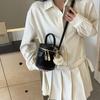 Bolsos Mini Populares para Mujer de Este Año 2025 Nuevo Diseño Nicho Bolso Cruzado Estilo Caliente de Celebridad de Internet Bolso Satchel Tipo Cubo