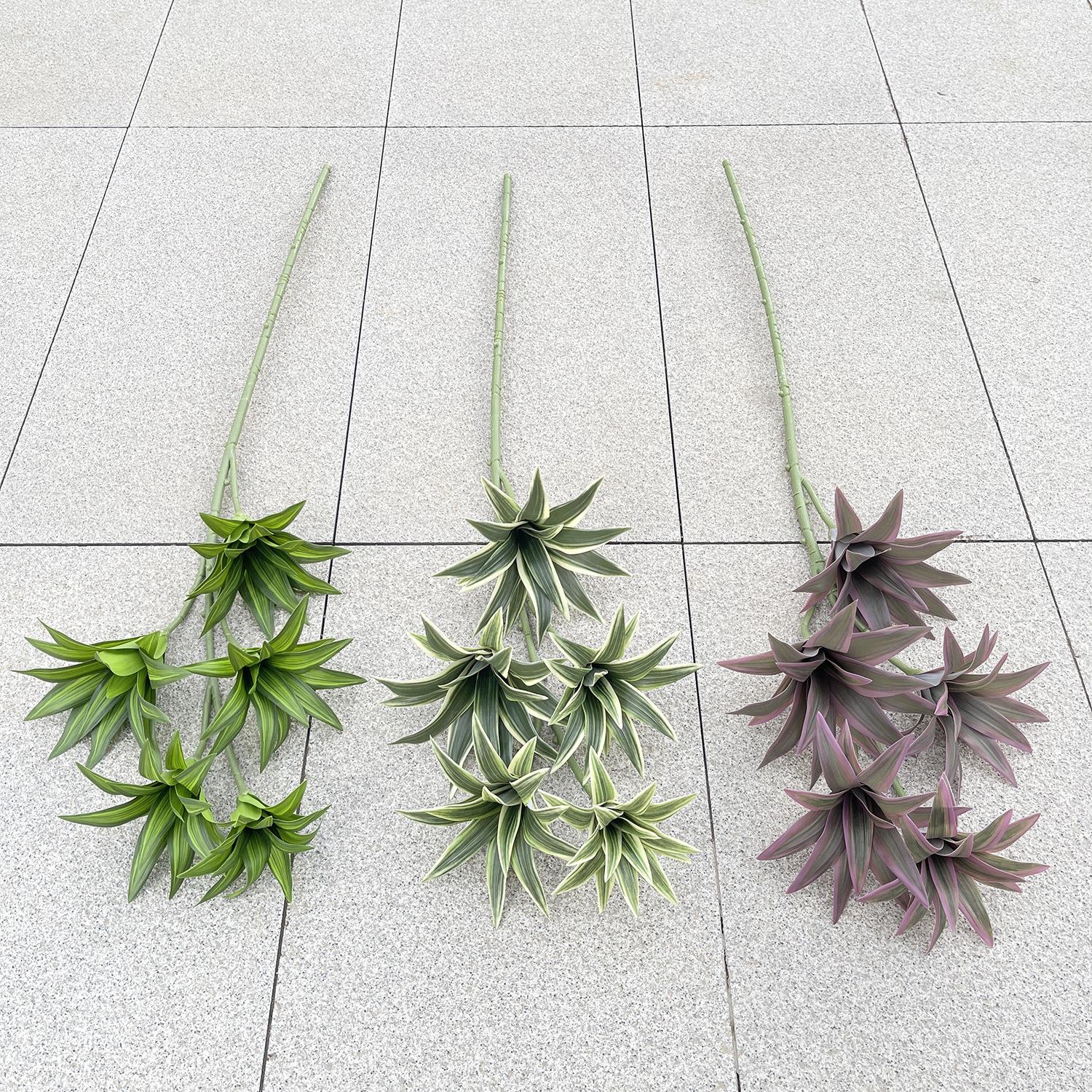 主图 花溪谷.JPG