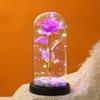 Cubierta de Vidrio de Rosa Luminosa Modelo Nuevo Transfronterizo Regalo del Día de San Valentín Flor de Cristal Luz Nocturna Decoración de Escritorio Venta al por Mayor