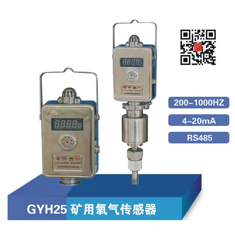 GYH25氧气传感器 - 副本 (3)