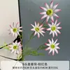 Escena de Flores de Simulación Diseño Mai Xiang Crisantemo Margarita Mona Jardín Mori Boda Boda Camino de Flores Artificiales Arreglo Floral