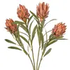 Flor de Imperador Artificial Aveludada, Buquê de Flor de Imperador de Alta Qualidade, Flor de Pitaya Artificial para Casamentos, Flor de Imperador Artificial