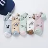 Chegada Nova Meias Femininas 100% Algodão, Meias Cano Curto Fofas de Gato Cartoon Primavera e Verão, Meias Coloridas Estilo Coreano 100% Algodão Atacado Fabricante