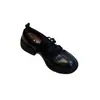 Sapatos Mary Jane Femininos 2026 Outono Novo Estilo Salto Bloco Solado Grosso Confortáveis Casuais Versáteis Slip-on Alongadores Visuais Sapatos de Salto Único Femininos