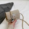 Bolso Cruzado de Diseño Nicho Casual de Primavera 2025 Moderno y Hermoso, Bolso Cuadrado Pequeño de Estrella a la Moda