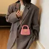 Nova Bolsa de Veludo Bordada Infantil para Primavera e Verão, Pequena Bolsa Estilo Chanel para Meninas, Bolsa Transversal com Corrente Moda Coreana, Transfronteiriça