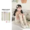 Calcetines Largos para Niñas, Estilo Delgado de Verano, Calcetines de Malla Transpirables Sin Costuras para Niños, Calcetines de Tubo Alto Estilo Coreano Ins, Calcetines Largos