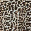 Celebridad de Internet Estampado de Leopardo Tela Estampada Digitalmente Tela de Poliéster Ultradelgada Vestido Sexy de Noche con Tirante al Cuello Tela para Traje de Baño