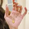 Novo Colar de Cabacinha com Gelo Picado Estilo Chinês para Mulheres, Popular no Xiaohongshu, Gargantilha de Cabacinha Tradicional Dourada Deslumbrante, Item Mais Vendido