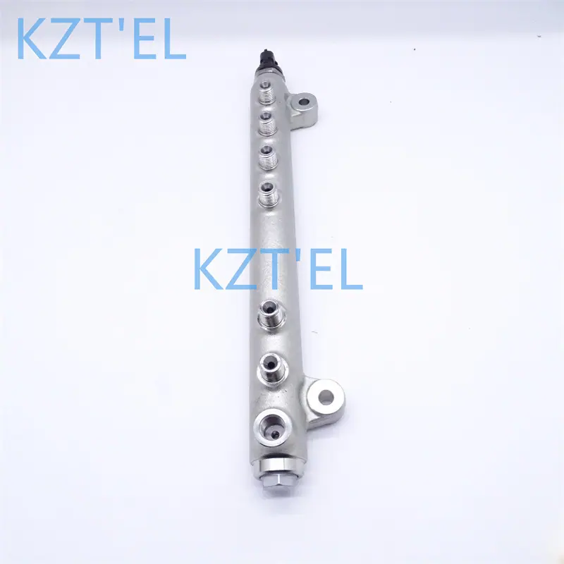 20902910共轨管 (2)