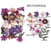 Bolsa de Flores Secas para Manualidades con Flores en Relieve, Marcapáginas de Flores en Relieve, Bolsa de Flores en Relieve, Material para Pintura en Relieve, Pegamento para Flores Reales, Hojas Secas