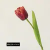 Ramo de flor de tulipán de loro de un solo tallo para decoración de escenas, tulipán de alta gama para uso en bodas, flores artificiales