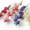 Fantásticos novos produtos [cabeça de flor de delphinium de ramo curto encaixotada] vela de aromaterapia feita à mão saco de material DIY