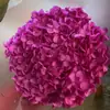 Flor Eterna Folha Pequena Hortênsia Anna Flor Seca Flor Real Estilo Escandinavo Props para Fotos Ins Buquê de Casamento Pronto Decoração