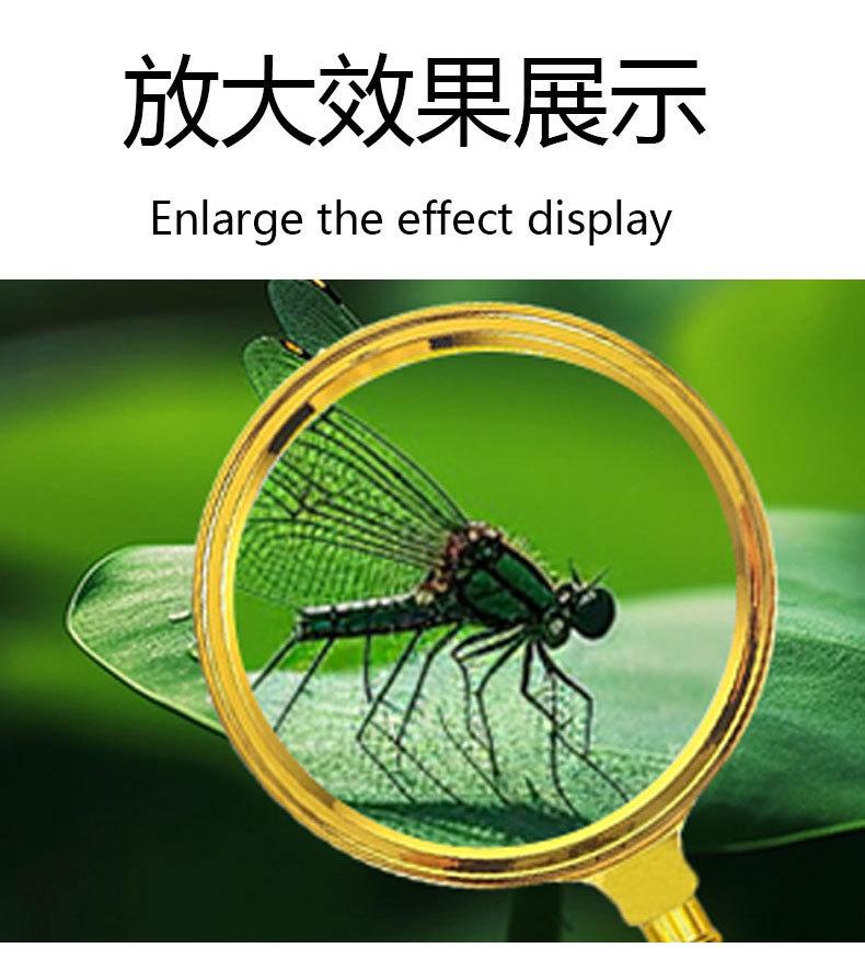 镀金款_13.jpg