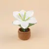 Plantas de lirio en maceta de punto de ganchillo hechas a mano, flores artificiales tejidas, adornos de flores de hilo al por mayor