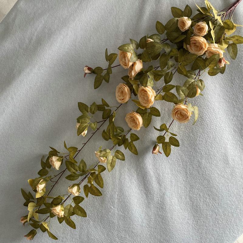 19号 秋香槟色.JPG