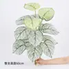 Simulación 18 Cabezas Colorido Hoja de Taro Planta Verde Tacto Hoja de Taro Sala de Exposiciones para el Hogar Pared de Plantas Falsas Decoración Hoja de Monstera Fotografía Foto